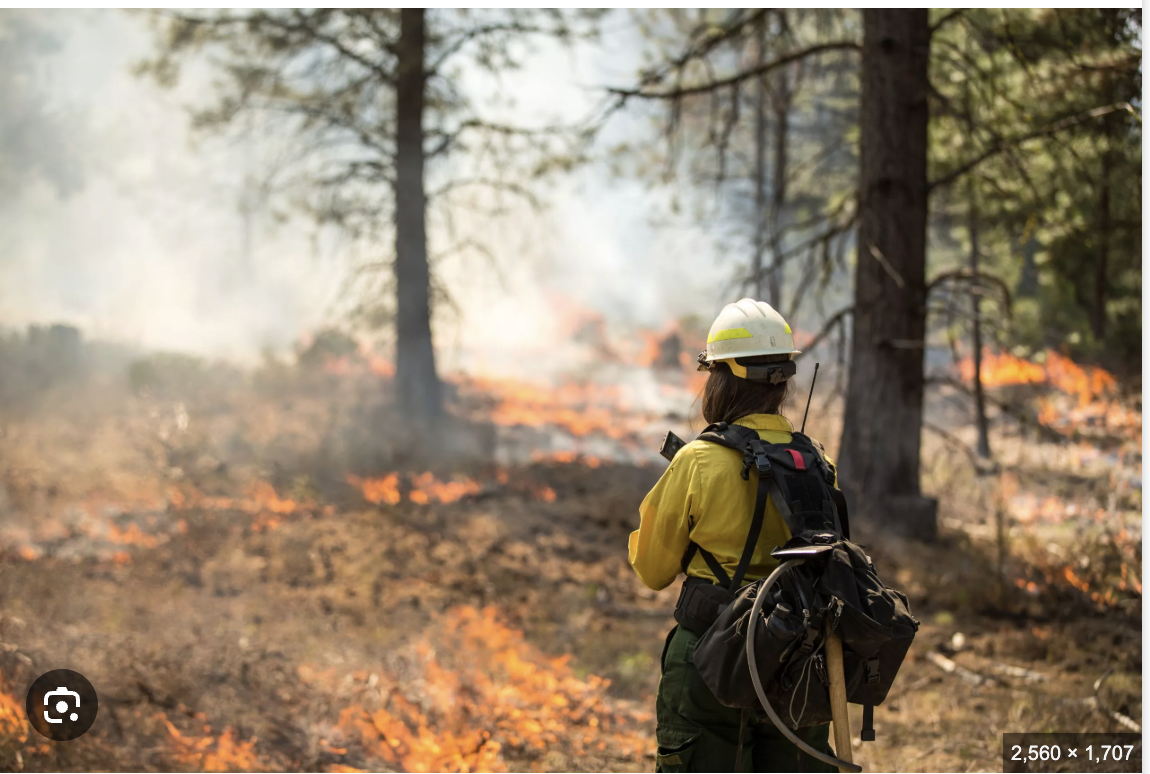 Hurst Fire 2025 Sylmar - Wildfire burning in hills